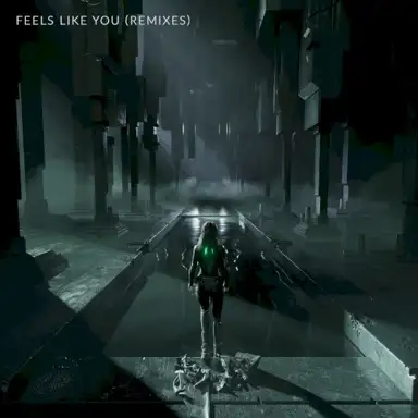 Feels Like You (Remixes)