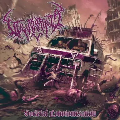 Vulvocrania: Societal Lobotomisation