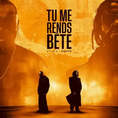 TU ME RENDS BÊTE