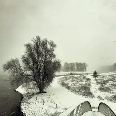 Winter