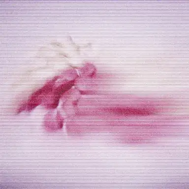 Moss and Pink