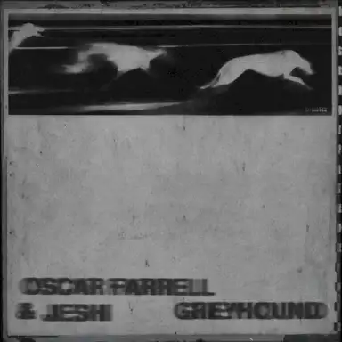 Greyhound