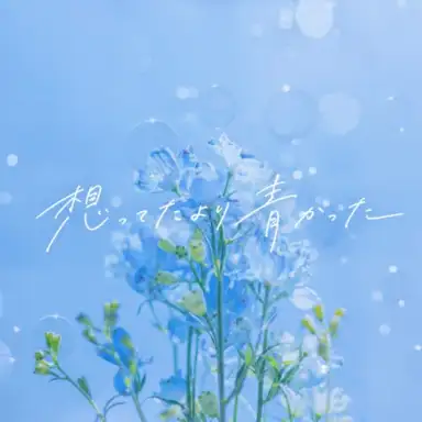 想ってたより青かった