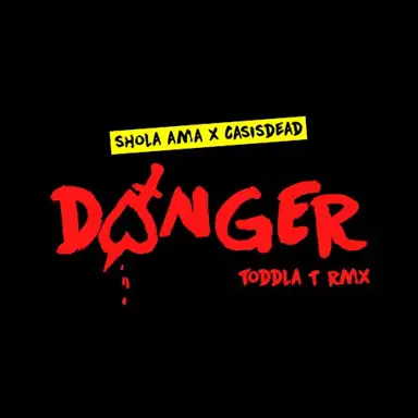 DANGER (TODDLA T RMX)
