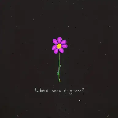 Where does it grow?