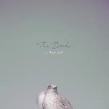The Breaks - 5 Way Split