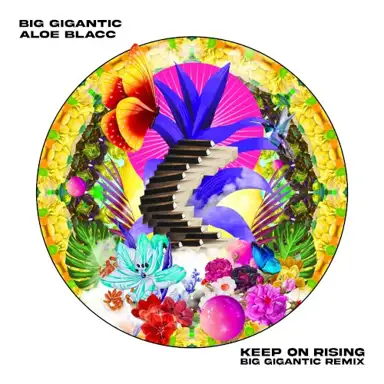 Keep on Rising (Big Gigantic remix)