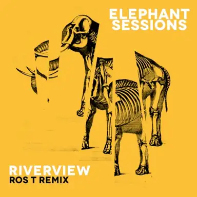 Riverview (Ros T remix)