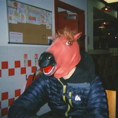 High Horse
