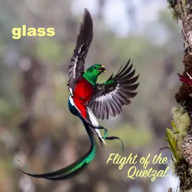 Flight of The Quetzal