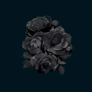 Rmx 001