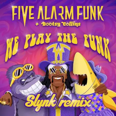 We Play the Funk (Slynk Remix)