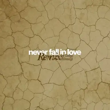 never fall in love (Daigo Sakuragi remix)