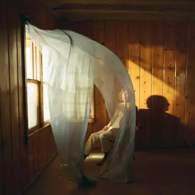 Disappearing Act