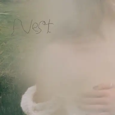 Nest