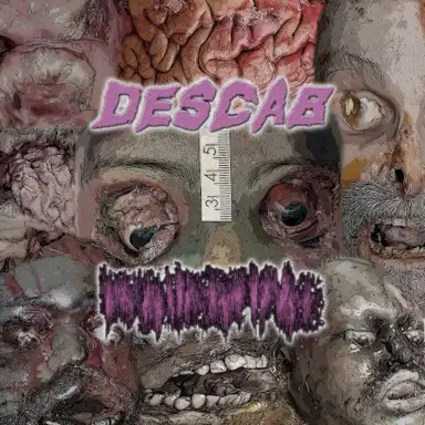 Organ Dismantlement