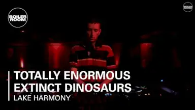 Boiler Room: Totally Enormous Extinct Dinosaurs in Lake Harmony, Nov 4, 2016