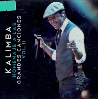 Homenaje A Las Grandes Canciones Vol. II