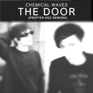 The Door (Propter Hoc remix rework)