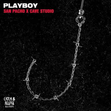Playboy