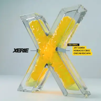 X10 Vinyl