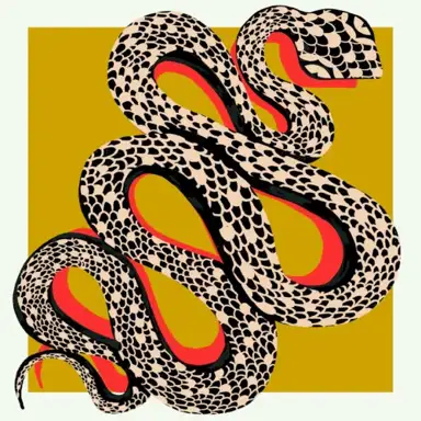 Snakes