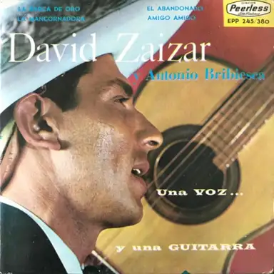 Una voz ... y una guitarra