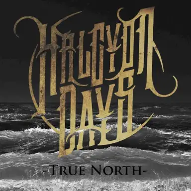True North