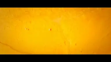 アイスクリーム