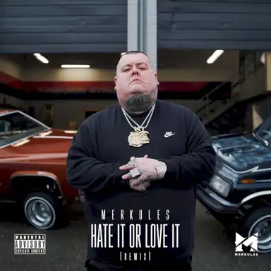 Hate It or Love It (Remix)