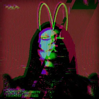 Perfect Celebrity (telemist remix)