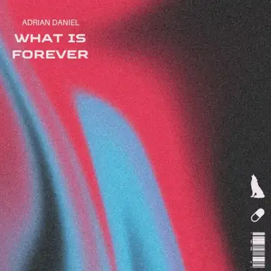 What is Forever