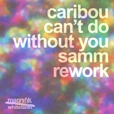 Can’t Do Without You (Samm rework)
