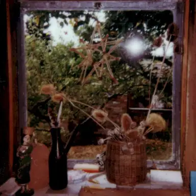 Allotment Tapes #8 - Dig and Dinner (at Ecoworks)