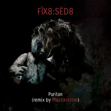 Puritan (Plastikstrom)