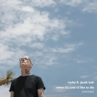When It's Cold I'd Like to Die (Remixes)