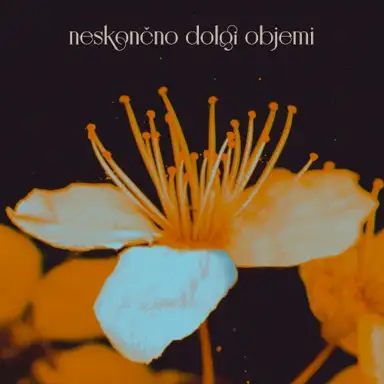Neskončno dolgi objemi