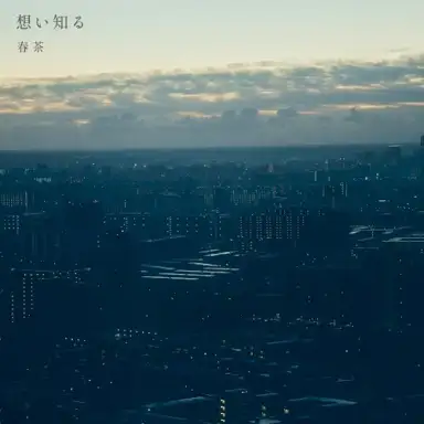 想い知る