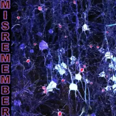 Misremember