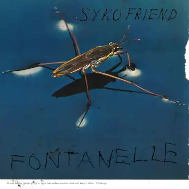 Fontanelle
