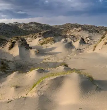 Dune Worship
