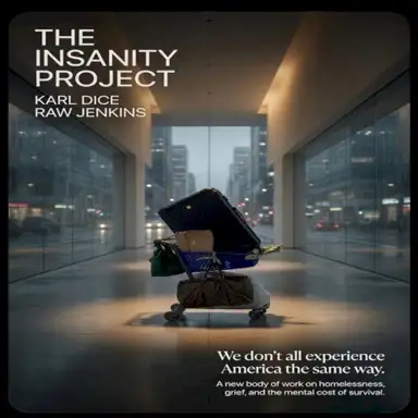 The Insanity Project
