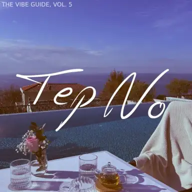 The Vibe Guide, Vol. 5