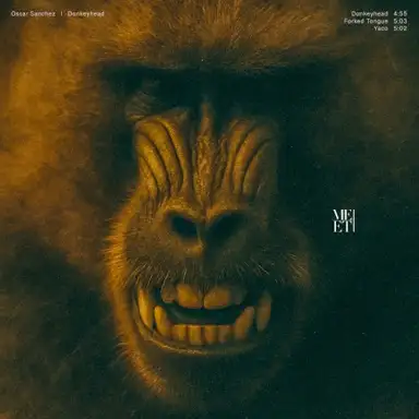 Donkeyhead
