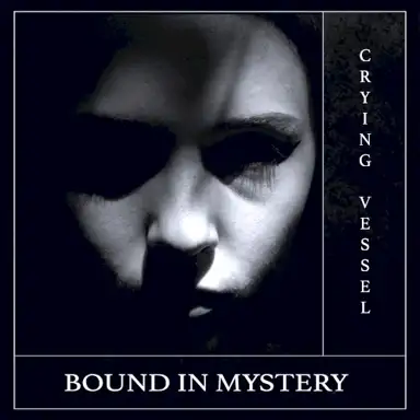 Bound in Mystery