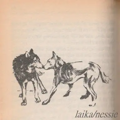 laika / nessie