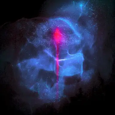 Primal Transmissions
