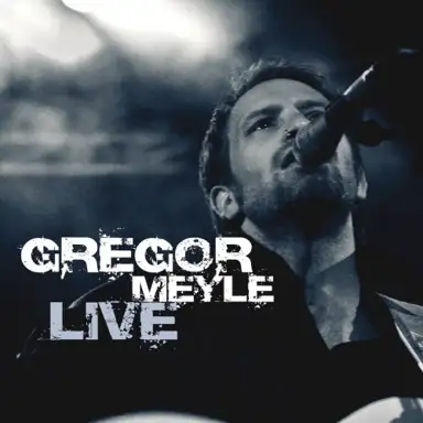 Gregor Meyle und Band Live