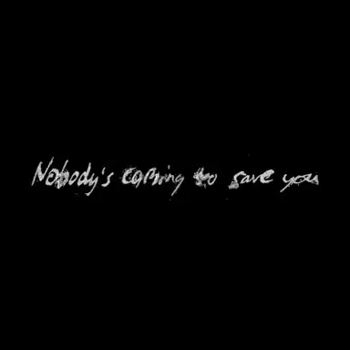 Nobody's Coming to Save You