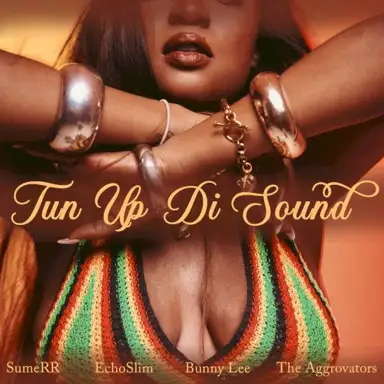 Tun Up Di Sound